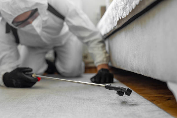 Professional Pest Control technician working in Brush, CO