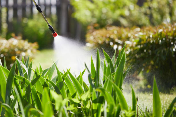 24/7 Emergency Pest Control experts in Brush, CO