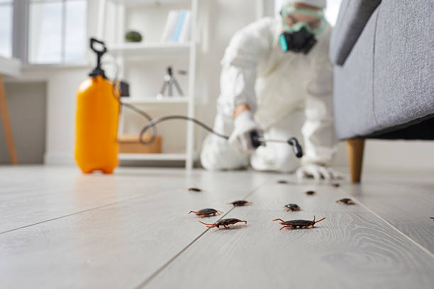 Affordable Pest Control solutions in Brush, CO